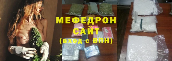 индика Богданович