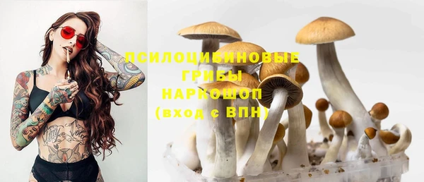 твердый Белокуриха