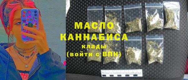 индика Богданович