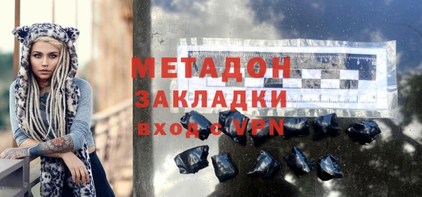 индика Богданович