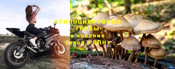 MDMA Premium VHQ Богородск