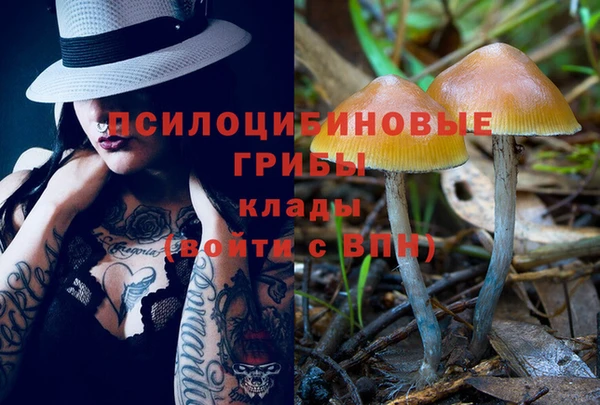 твердый Белокуриха