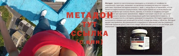 индика Богданович