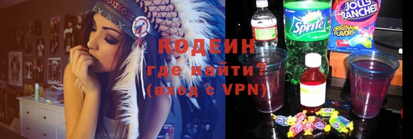 индика Богданович