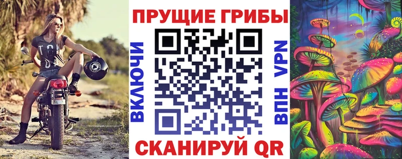 Псилоцибиновые грибы MAGIC MUSHROOMS omg онион Бузулук