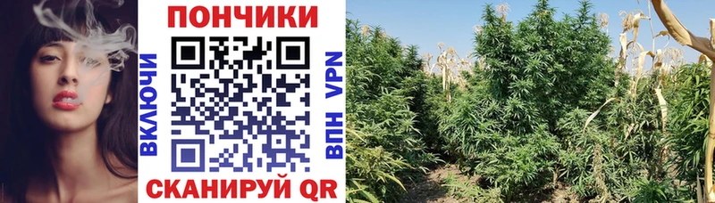 Марихуана Bruce Banner  где купить наркоту  Бузулук 
